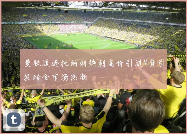 曼联追逐托纳利热刺高价引进M费引发转会市场热潮