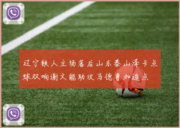 辽宁铁人主场落后山东泰山泽卡点球双响谢文能助攻马德鲁加造点